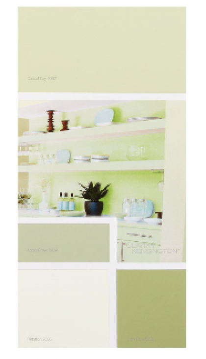 C+K 2-3 IDEA CARD GRN-R