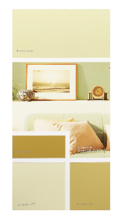 C+K 2-5 IDEA CARD G/N-C