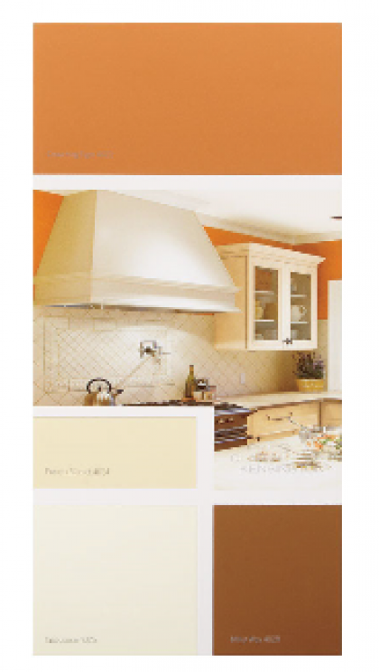 C+K 4-2 IDEA CARD ORG-C