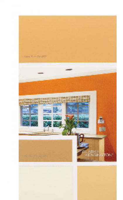 C+K 4-3 IDEA CARD ORG-R